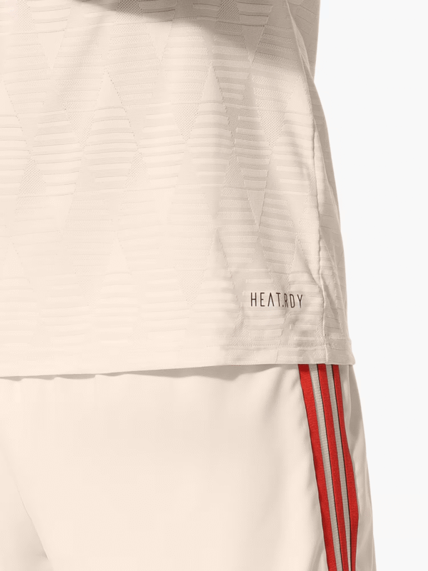 Bayern Munich Third Kit 2024/25 (Player Edition)