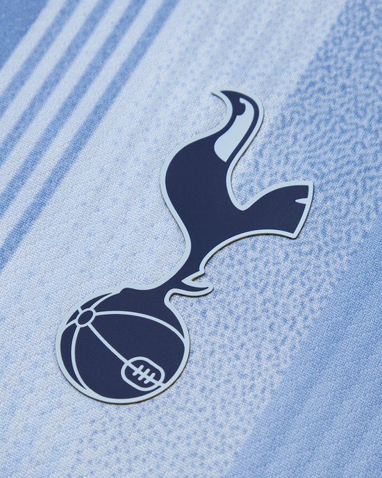 Tottenham Away Kit 2024-25(Fan Edition)